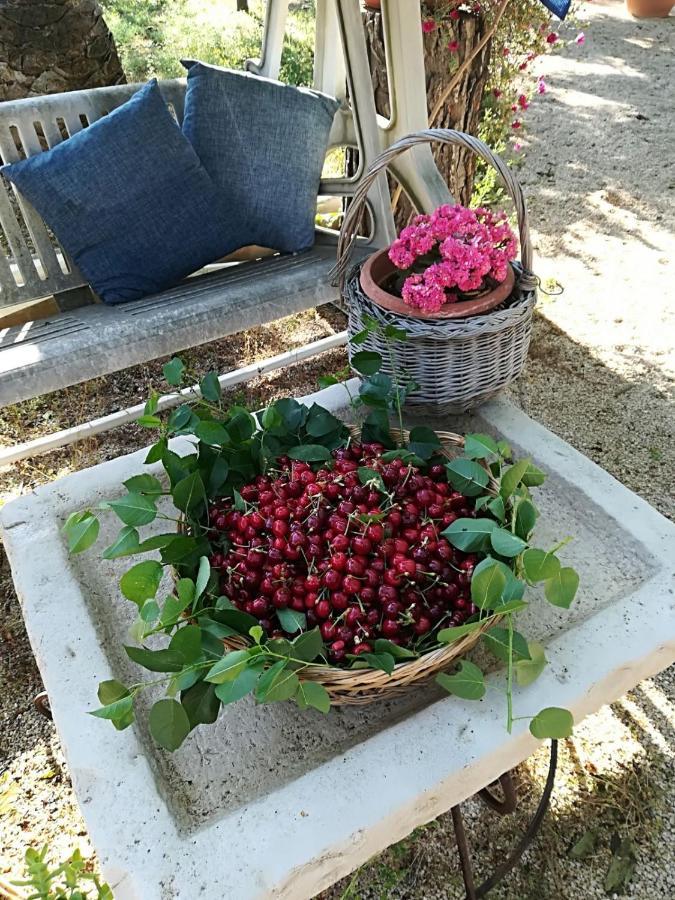 B&B Nonna Laura Trani Kültér fotó